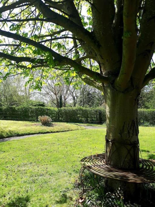 Host & Stay - Clara Cottage Bretforton Exteriér fotografie