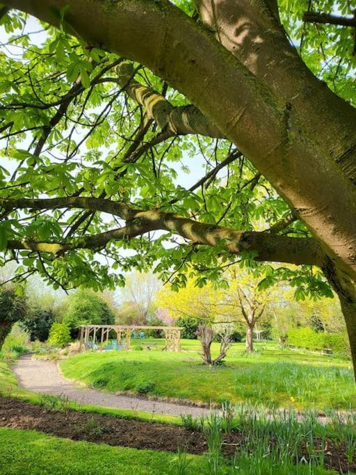 Host & Stay - Clara Cottage Bretforton Exteriér fotografie