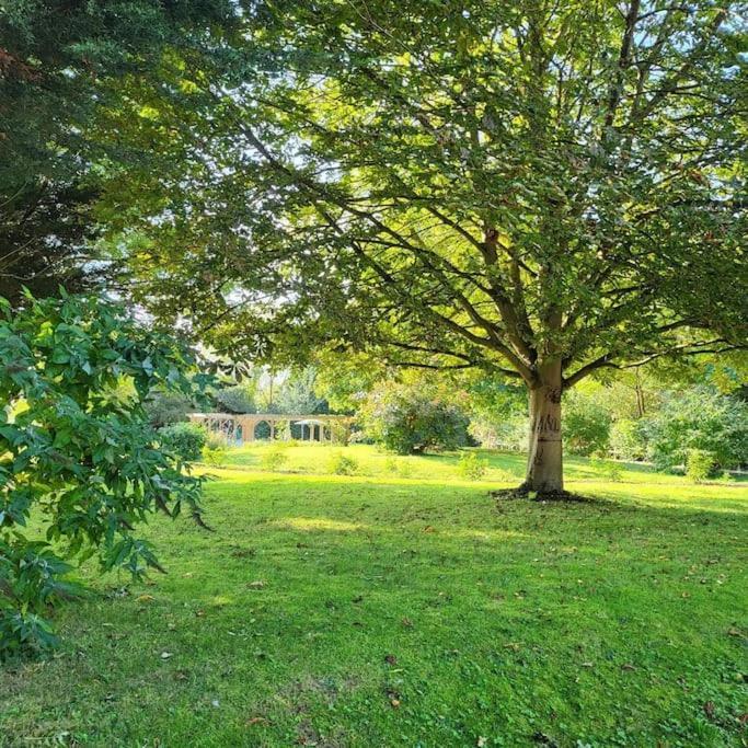 Host & Stay - Clara Cottage Bretforton Exteriér fotografie
